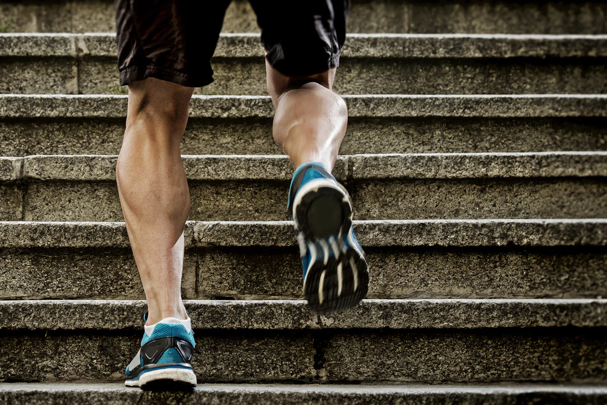 Why Your Calves Aren’t Growing Why Your Calves Aren’t Growing