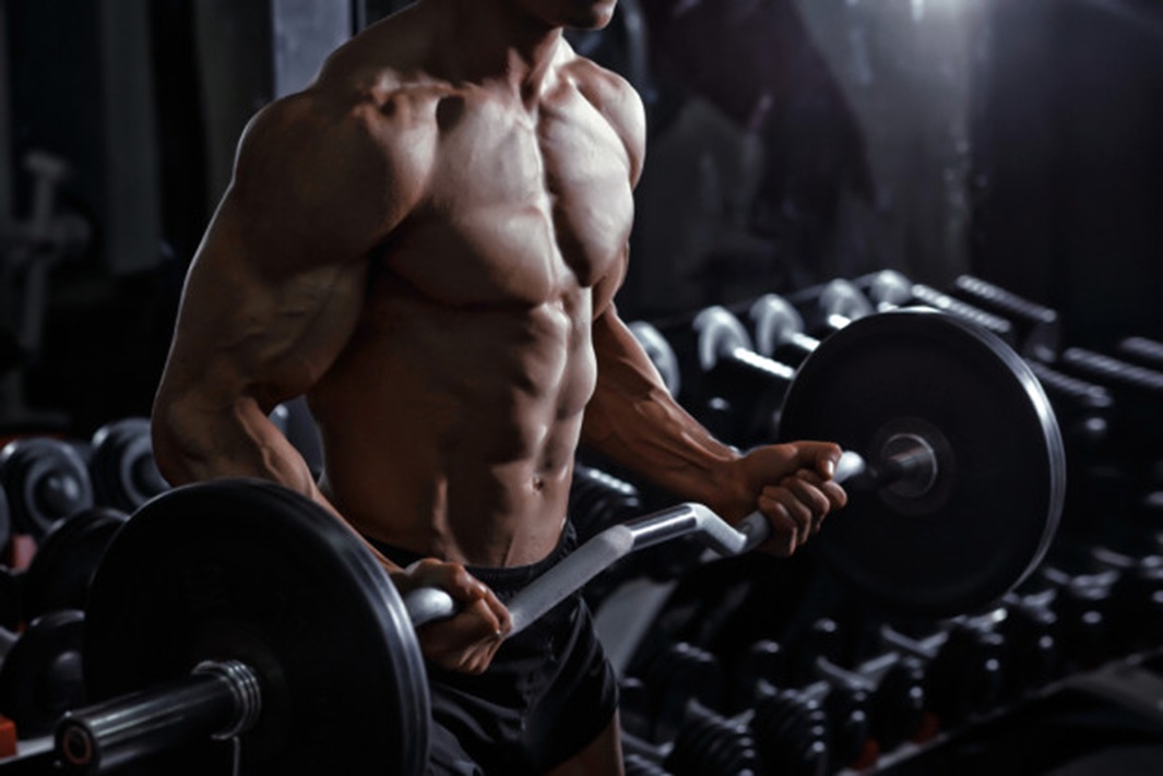 Complete Arm Training Guide