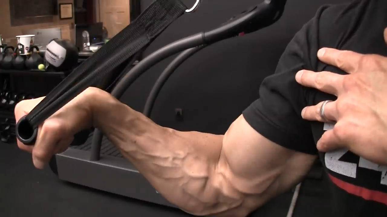Forearm Training That Actually Works Forearm Training That Actually Works