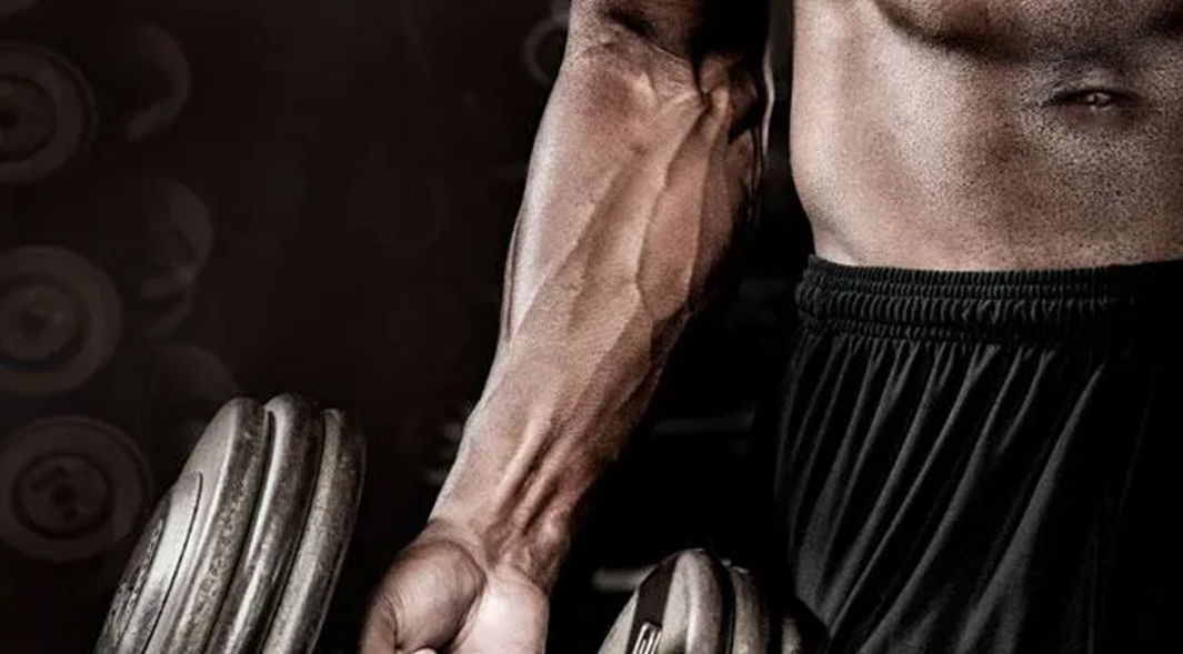 Forearm Training Forearm Training