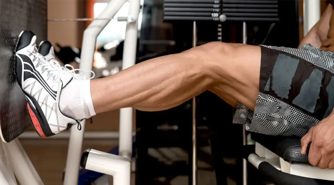 The High-Frequency Calf Training Blueprint: How to Finally Force Growth
