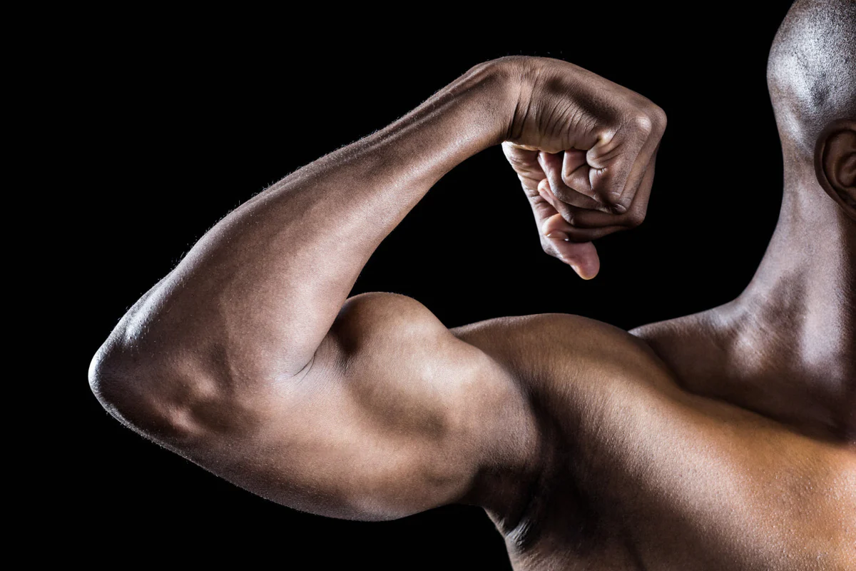 Advanced Training Strategies
