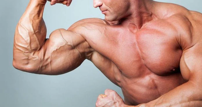 Advanced Training Strategies