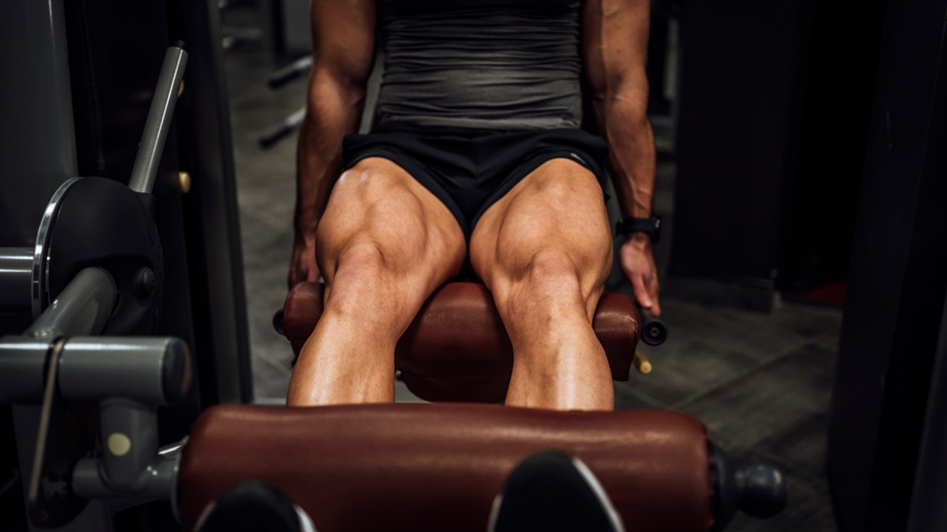 Bodybuilder’s Guide to Vastus Lateralis Growth