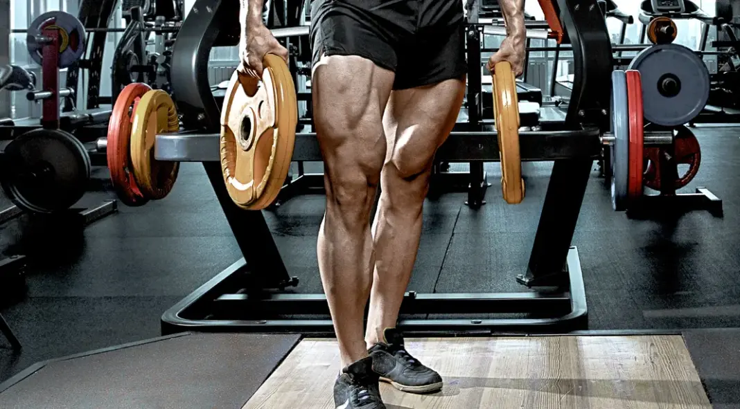 Quad Workouts for Mass, Shape, and Performance