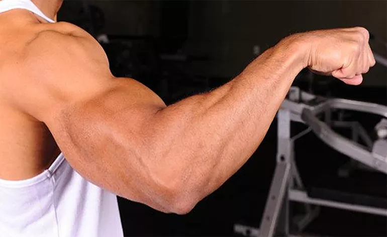 Forearm Workouts How to Train Forearms