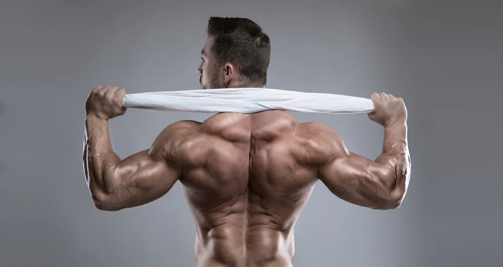 Home Neck and Trap Training