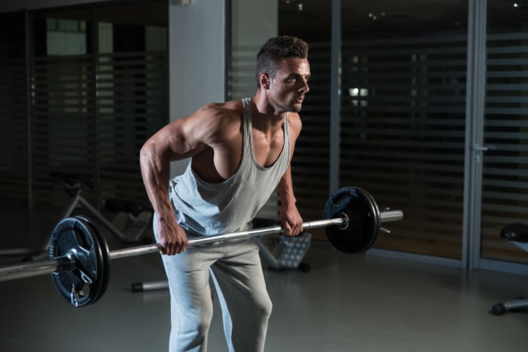 Neck and Trap Training