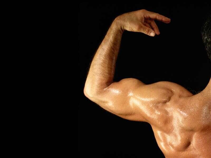 Shoulder Workouts
