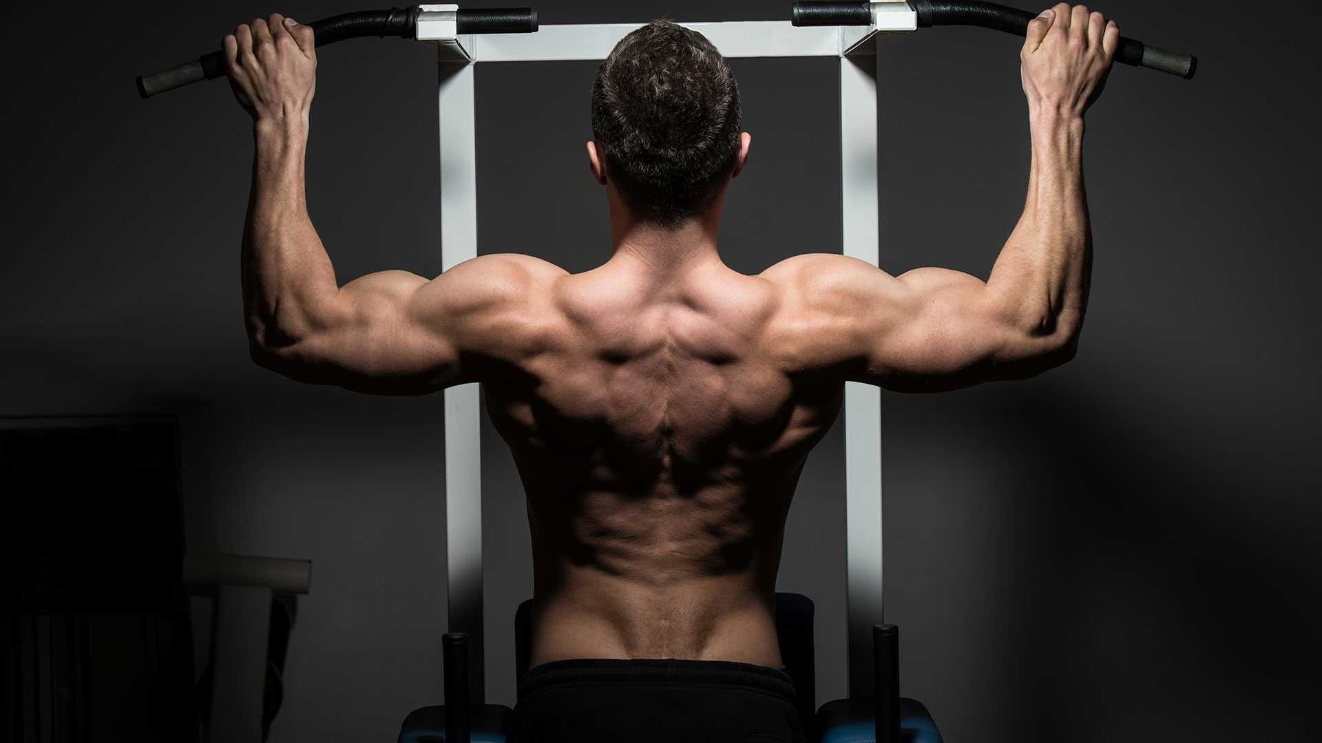 Shoulder Exercises Ranked by Delt Head