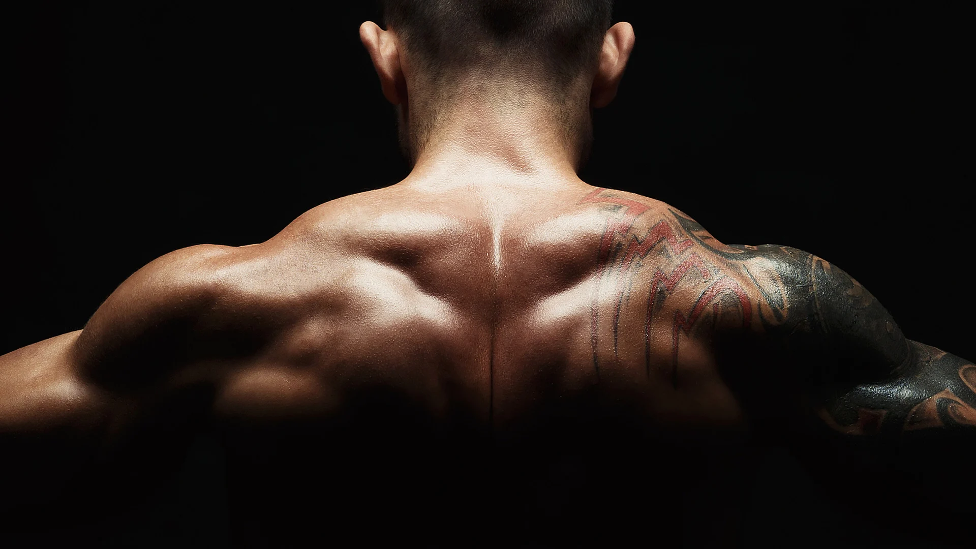 Best Neck and Trap Exercises