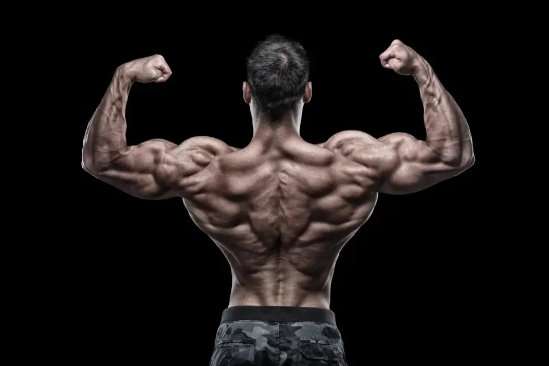 Best Neck and Trap Exercises for Size