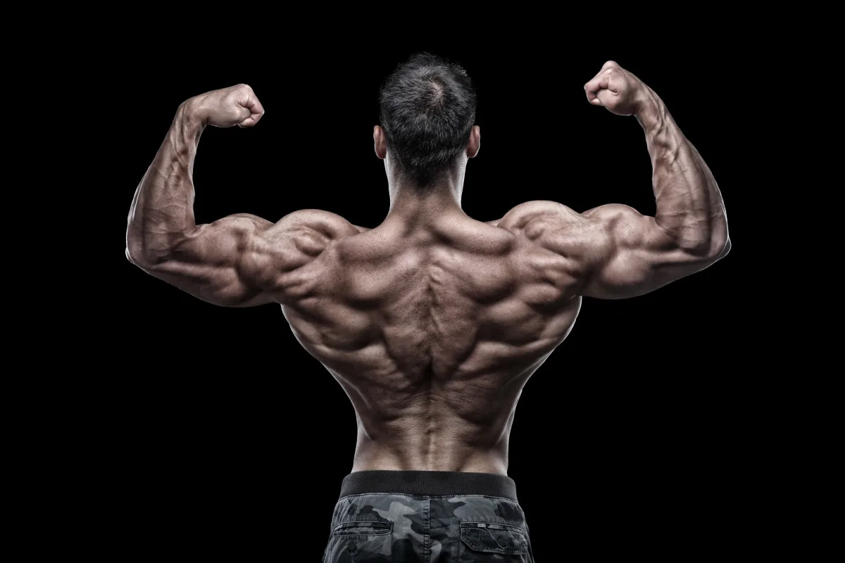 Best Neck and Trap Exercises for Size