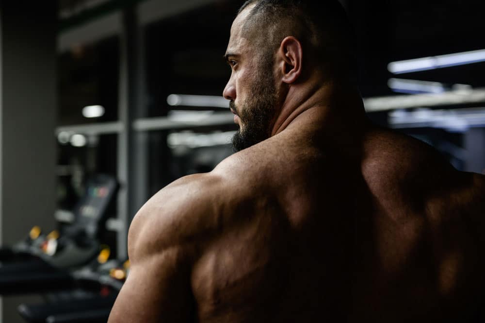 Neck & Trap Workouts