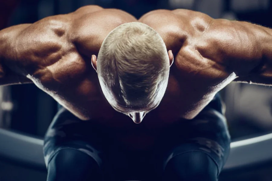Neck & Trap Workouts Hub