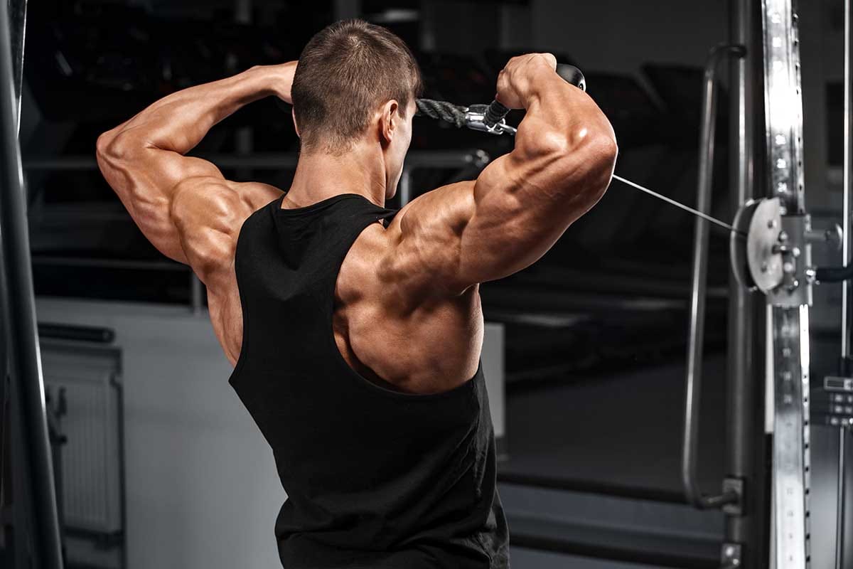 Shoulder Workouts for Size