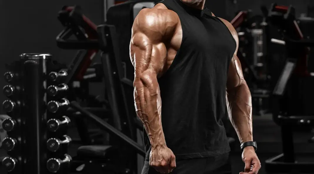 Triceps Training Mistakes That Kill Your Arm Size