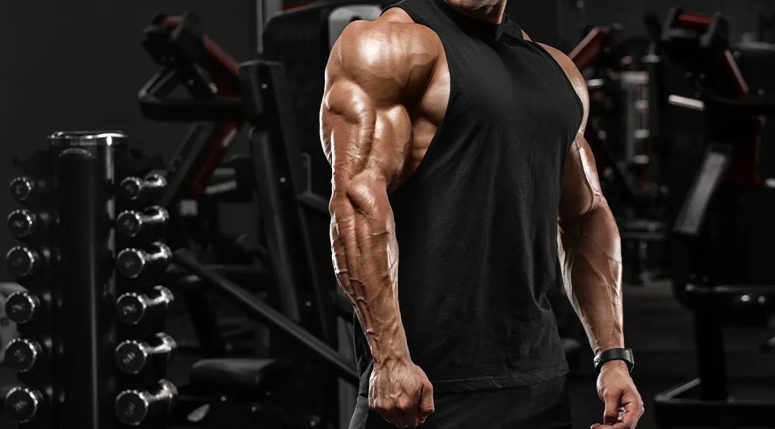 Advanced Training Strategies