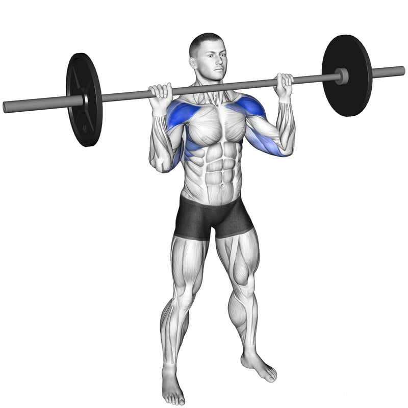Barbell Overhead Press Barbell Overhead Press