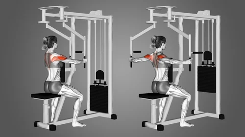 Reverse Pec Deck: The Rear Delt Machine Every Bodybuilder Needs