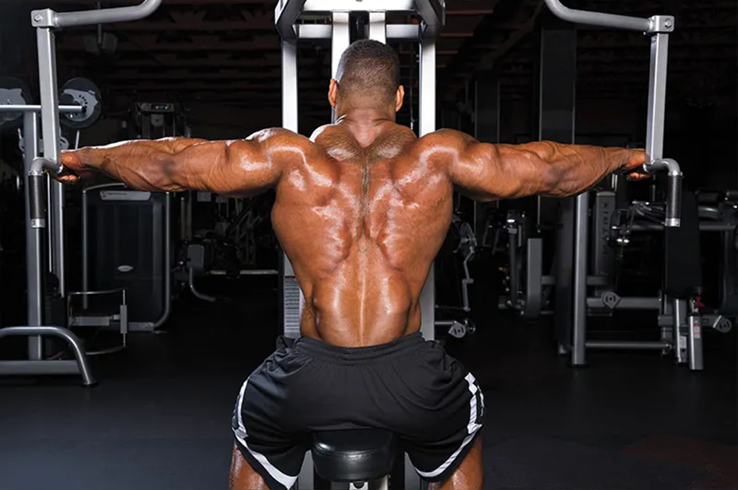 Rear Delt Isolation vs Compound Training