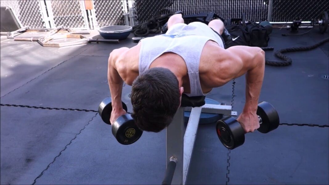 rear delt exercises Rear Delt Dumbbell Workouts