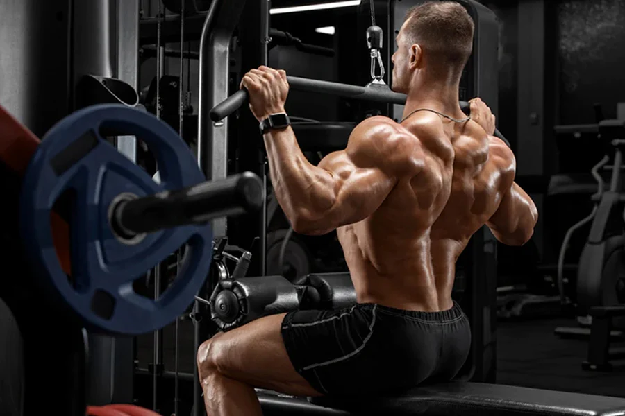 Rear Delt Workouts Rear Delt Workouts