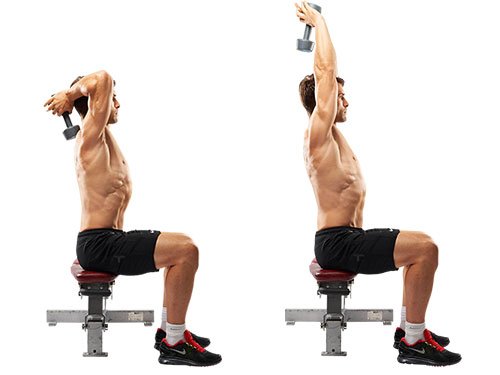Overhead Triceps-Extension Overhead Triceps Extension