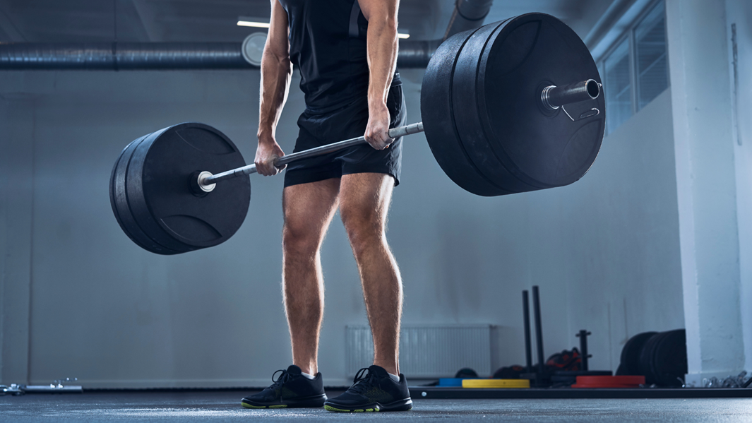 Push/Pull/Legs Split