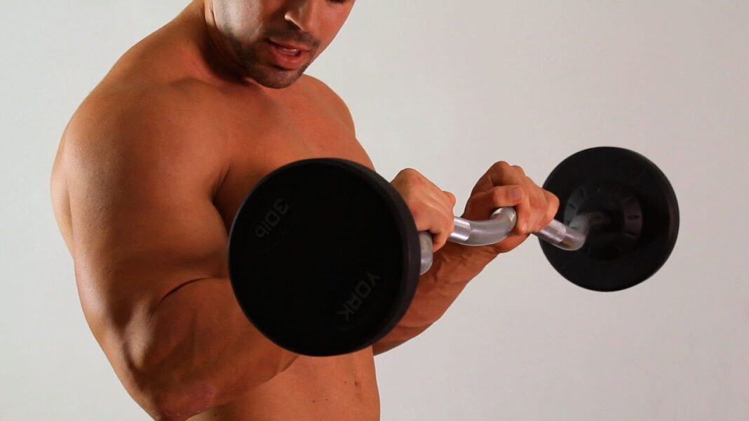 Reverse Curl: For Complete Arm Development
