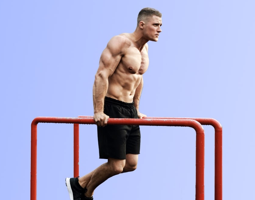 Triceps Dips (Bodyweight or Weighted)