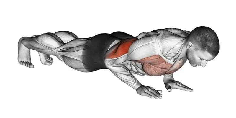 Close-Grip Push-Up (Triceps Focus)