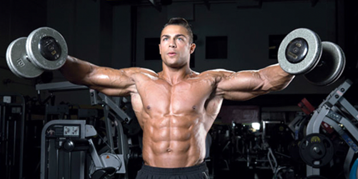Training Splits & Programs Hub