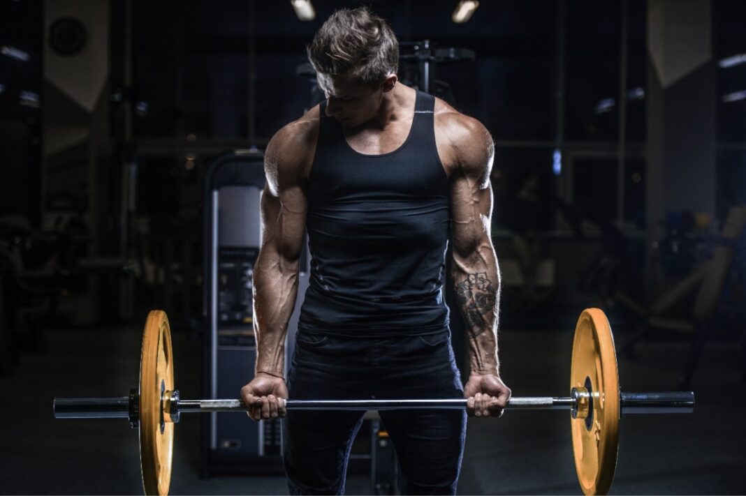 The 5×5 Strength Training Program