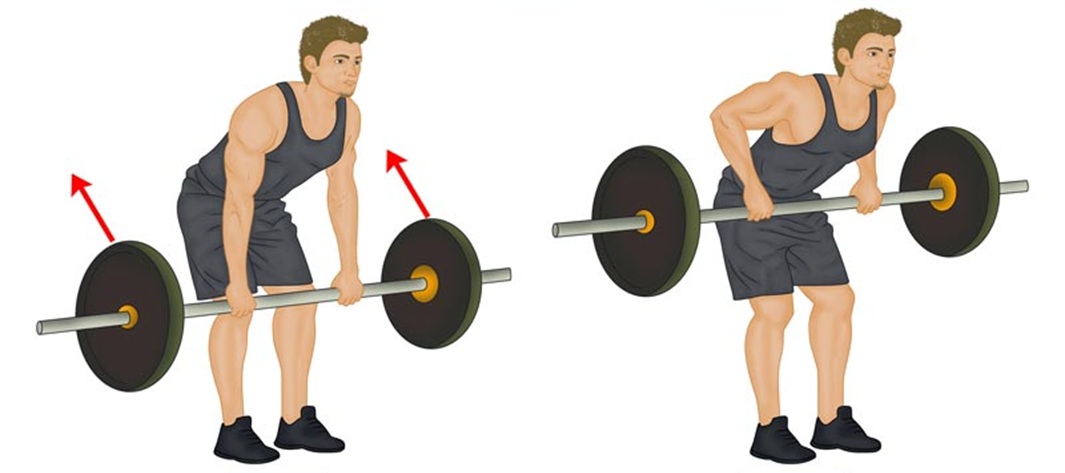 THE BARBELL BENT-OVER ROW