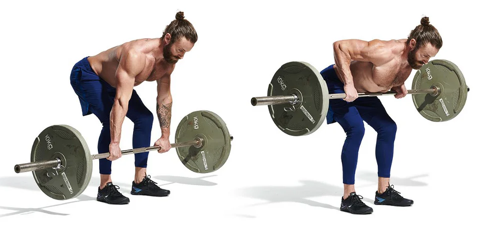THE BARBELL BENT-OVER ROW THE BARBELL BENT-OVER ROW