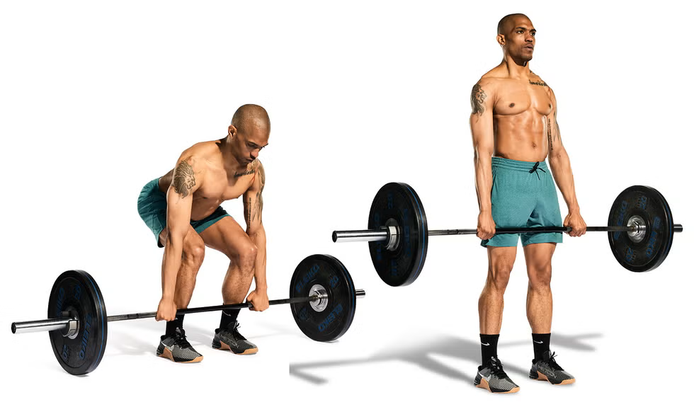 Barbell Deadlifts Barbell Deadlifts
