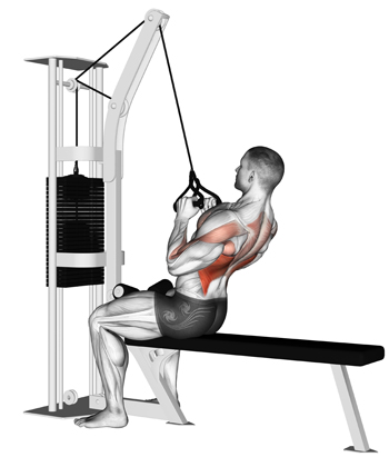 How to Perform the Close-Grip Lat Pulldown How to Perform the Close-Grip Lat Pulldown