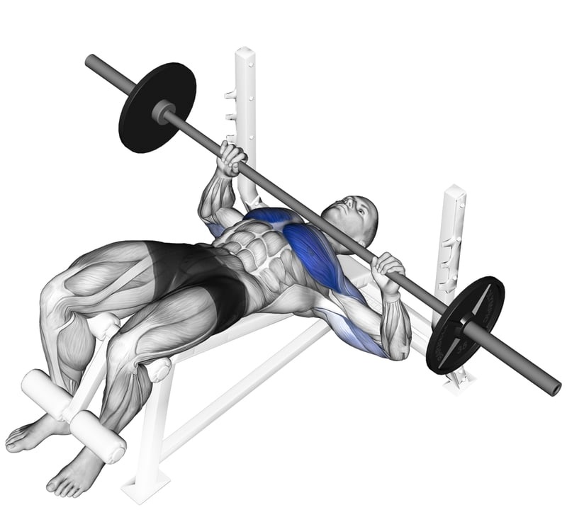 Decline Barbell Bench Press