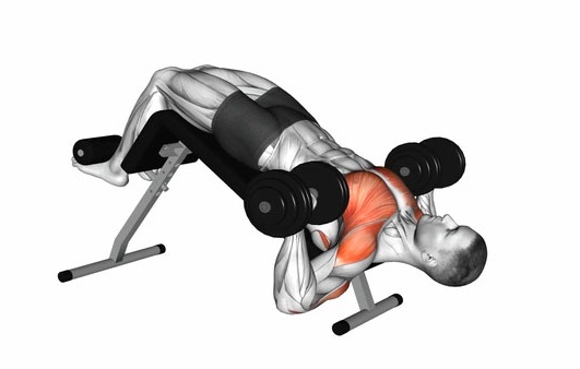 Decline Dumbbell Bench Press Works