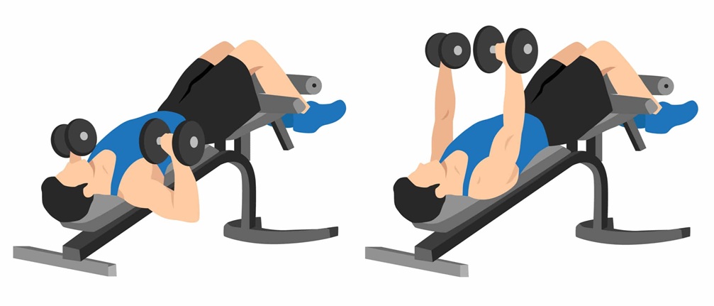 How to Perform the Decline Dumbbell Bench Press
