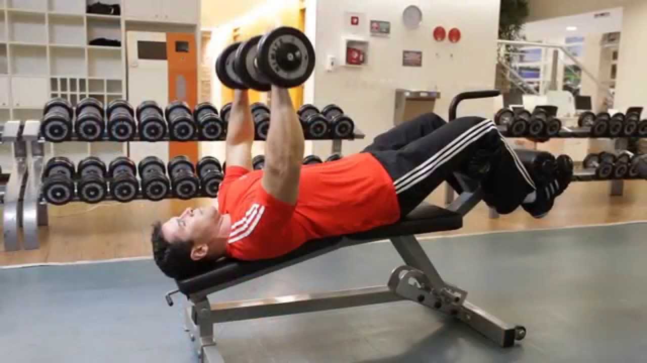 Decline Dumbbell Bench Press