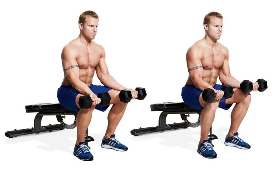 How to Perform the Dumbbell Wrist Curl How to Perform the Dumbbell Wrist Curl