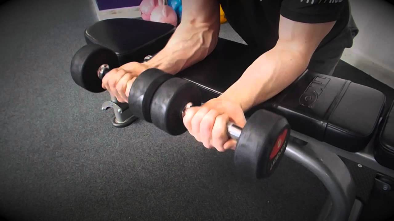 Dumbbell Wrist Curl Dumbbell Wrist Curl