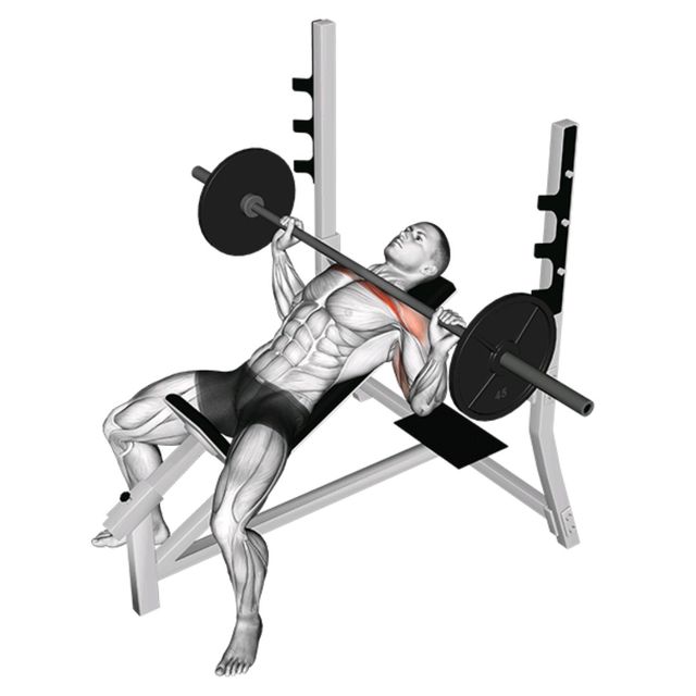 Incline Barbell Bench Press Incline Barbell Bench Press