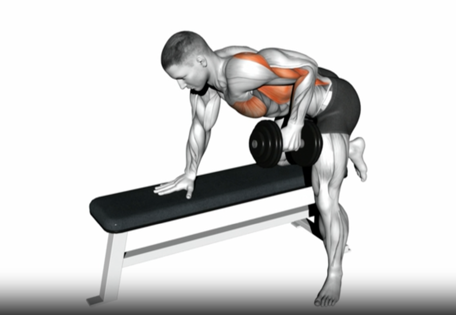 How the Lat-Focused Dumbbell Row Works How the Lat-Focused Dumbbell Row Works