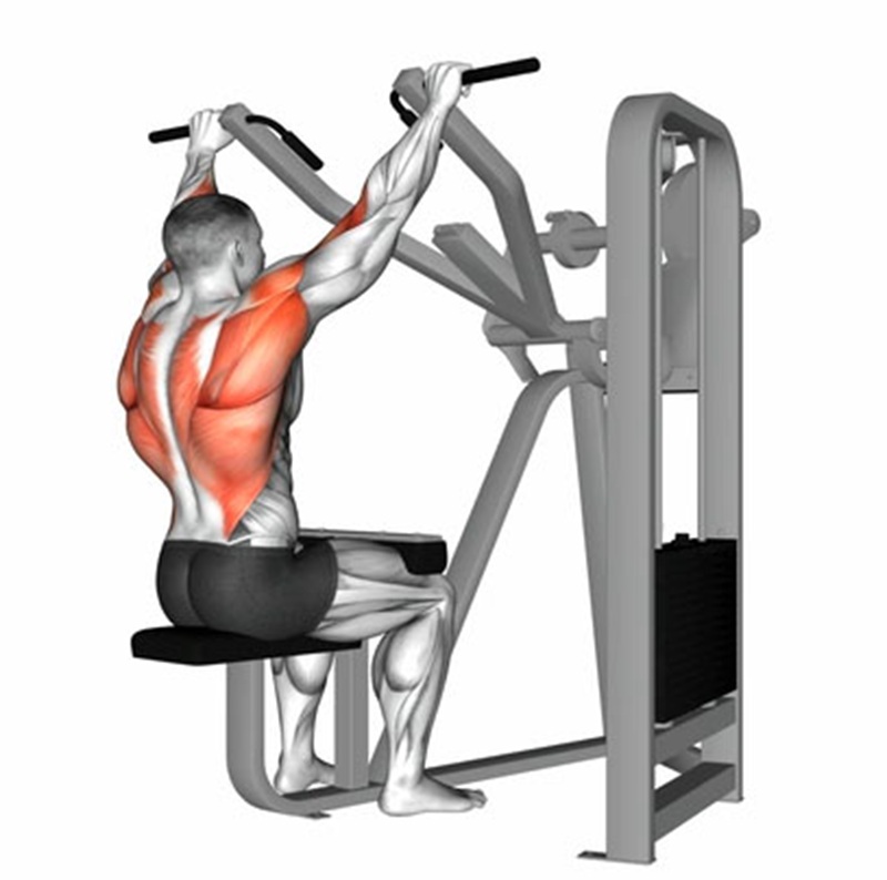 Why Bodybuilders Love the Machine Lat Pulldown Why Bodybuilders Love the Machine Lat Pulldown
