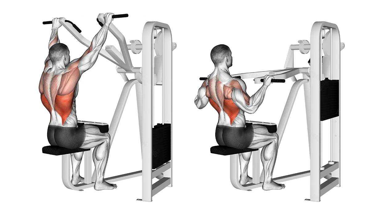 Machine-Lat Pulldown Machine-Lat Pulldown