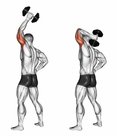 One-Arm Overhead Dumbbell Extension