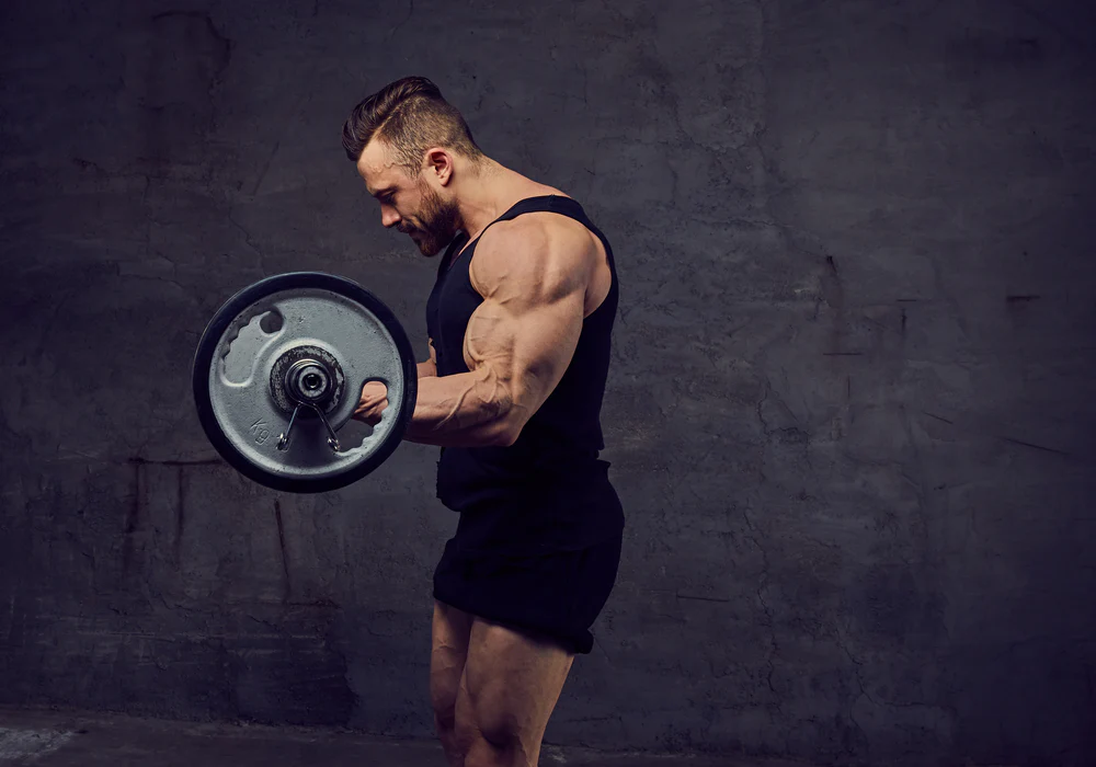 Reverse Barbell Wrist Curl (Overhand Grip)